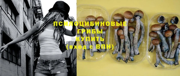 прущая мука Арсеньев